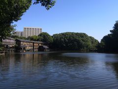 -张鸟园农家乐(张鸟园店)
