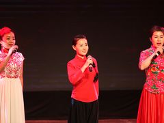 -陕北民歌大舞台