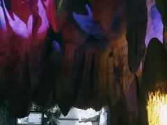 -泉城欧乐堡海洋极地世界
