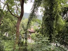 -岳麓山风景名胜区