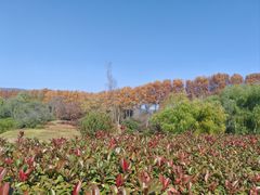 -钟山体育运动公园