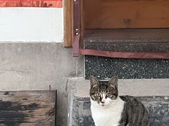 -西溪南古村落