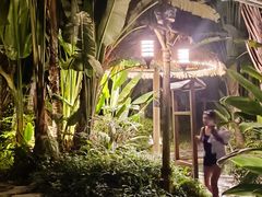 -碧桂园润杨溪谷温泉酒店