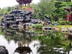 -顺峰山公园