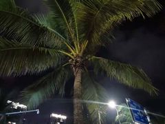 景观位-蠔爺王志德生蚝馆(金沙湾店)