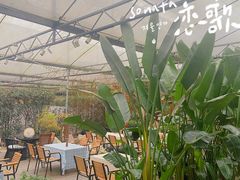 -桉树林A coffee 森林餐厅(三圣乡店)