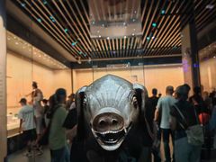 -广西壮族自治区博物馆