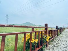 -北京莲花山滑雪场