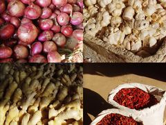 -江杨农产品批发市场