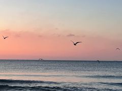 -青岛石老人海水浴场