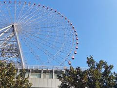 -星城之眼摩天轮