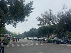 -安仁古镇