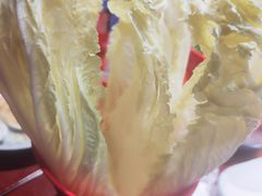 -老长春果木炭涮羊肉(东田·青年城店)