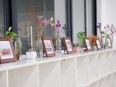 -重庆市巴渝学校