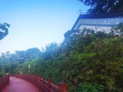 -大亚湾红树林城市湿地公园