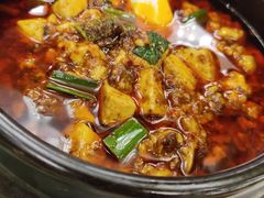 -陈麻婆豆腐总店