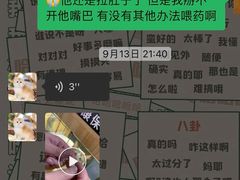 -欣宠猫屋·矮脚拿破仑·蓝金金渐层