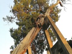 -太平天国侍王府