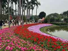-广州市白云山风景名胜区