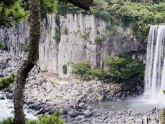 -涉地可支