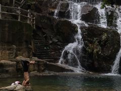 -鼎湖山风景区