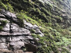 -碧峰峡风景区