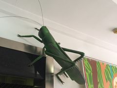 -上海昆虫博物馆