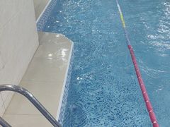 -小蓝鲸游泳培训基地(积水潭店)