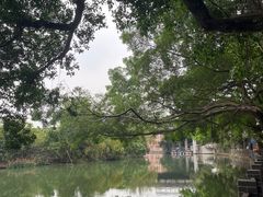 -小洲村