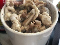 -广达眼镜炖罐(广达店)