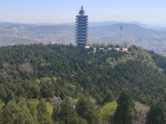 -原山国家森林公园