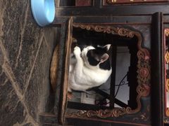 iphone_upload_pic-Anne猫窝咖啡屋