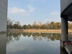 -安徽大学(磬苑校区)