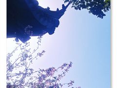-常熟方塔园