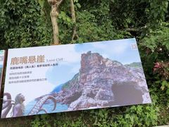 -杨梅坑