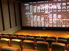 -华美国际影城(旧宫永辉店)