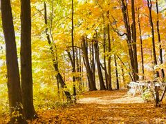 -长白岛森林公园