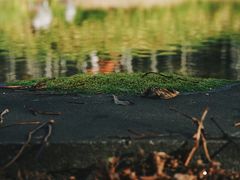 -水之教会