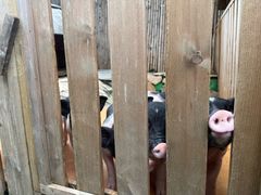 -HERRE·FARM 赫尔露营农场·团建聚会包场