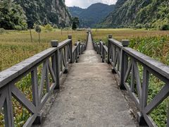 -沧源崖画