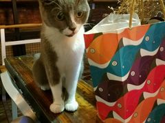 -MIKAKU(万达广场上海宝山店)