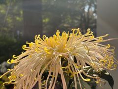 -杭州植物园