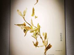 -煮叶(悠唐广场店)