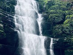 -碧峰峡风景区