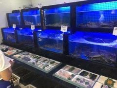 水产区-小海丁