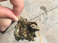 -日照世帆赛基地