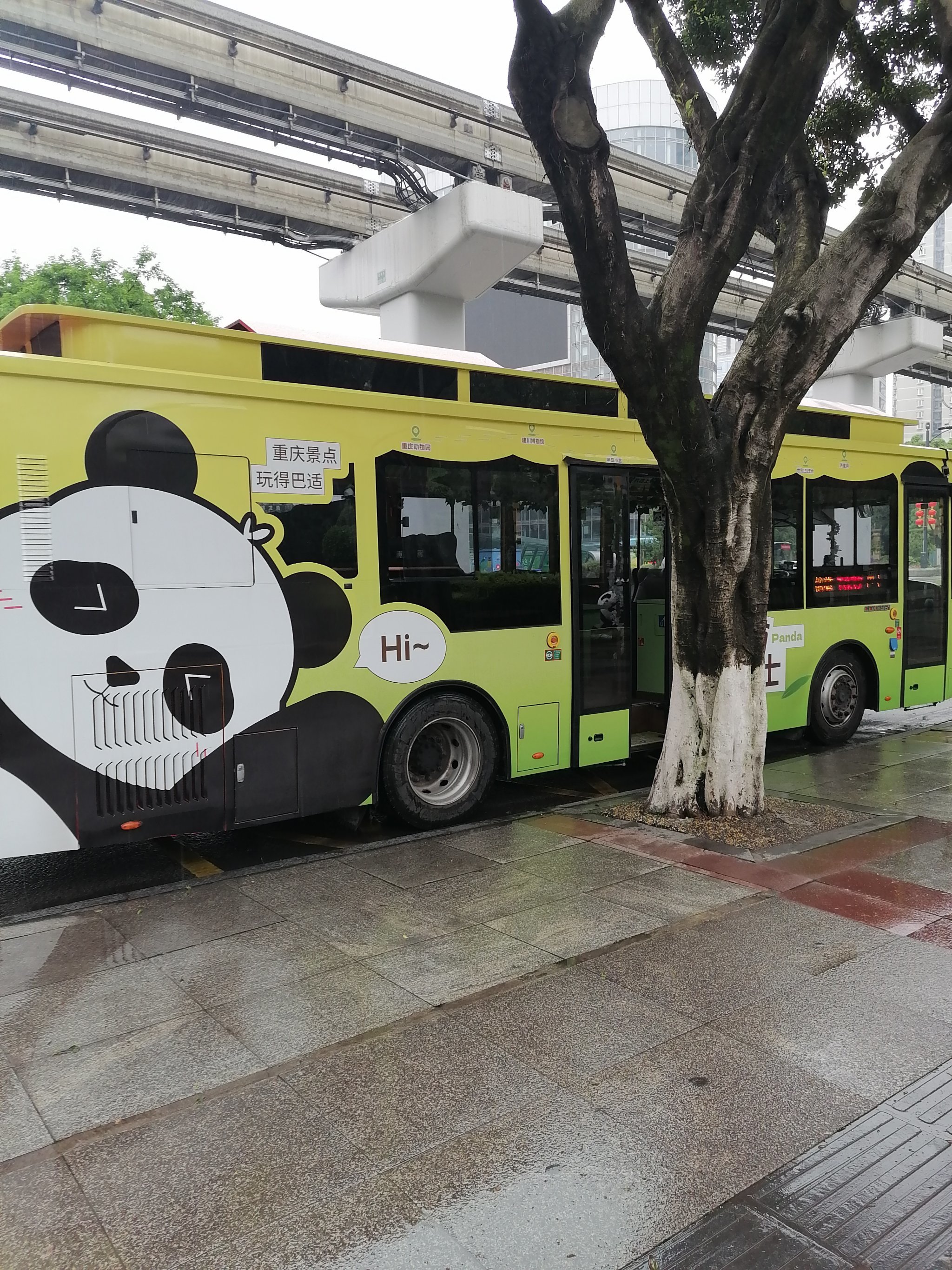 熊猫🐻巴士好阔爱哈哈