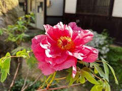-医王山·飞騨国分寺