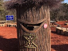 -北京西山国家森林公园