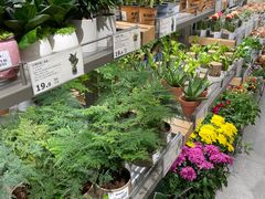 -鹿岛生活(熙地港店)